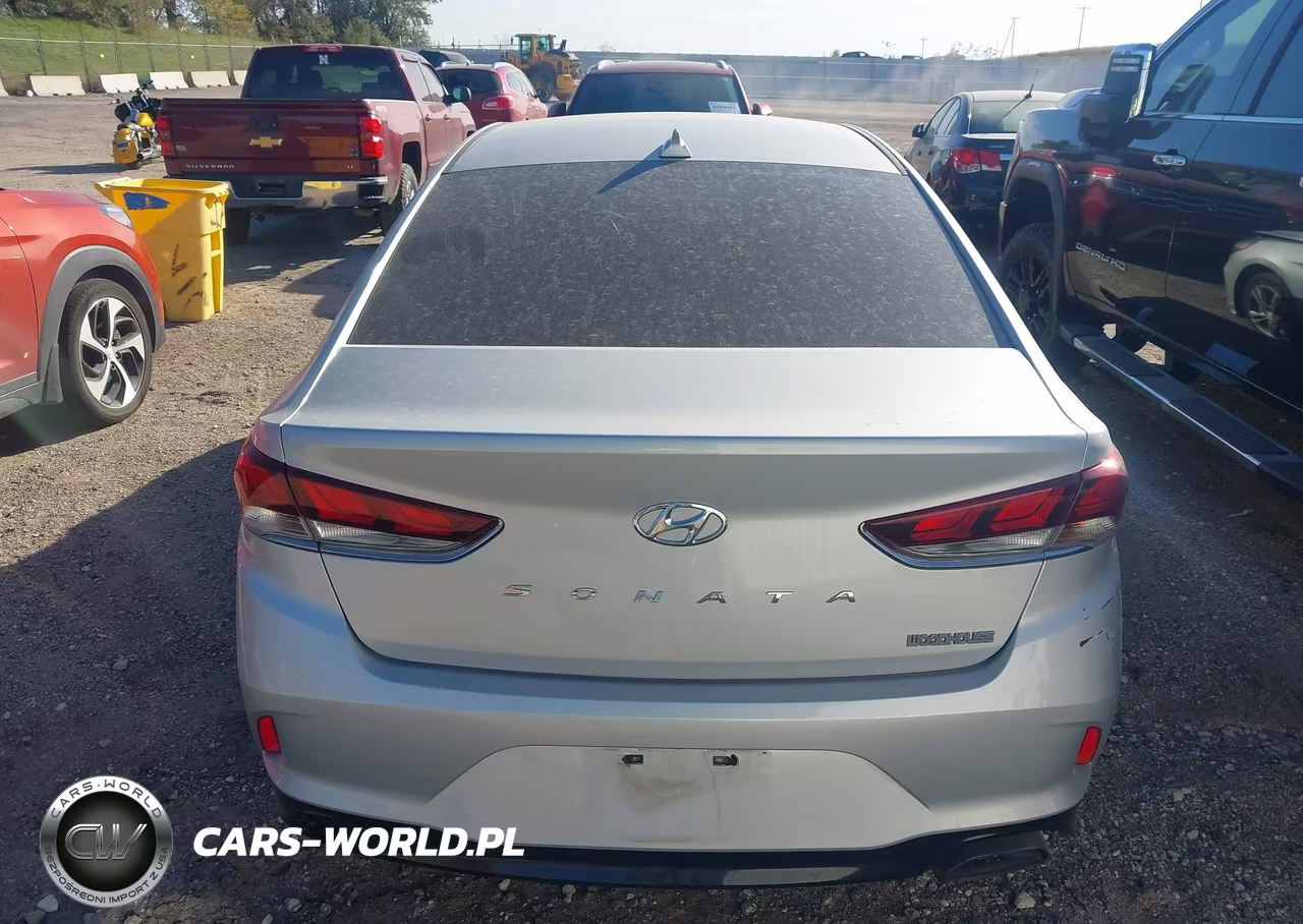 2019 Hyundai Sonata Sel VIN:5NPE34AF9KH814662 - 16