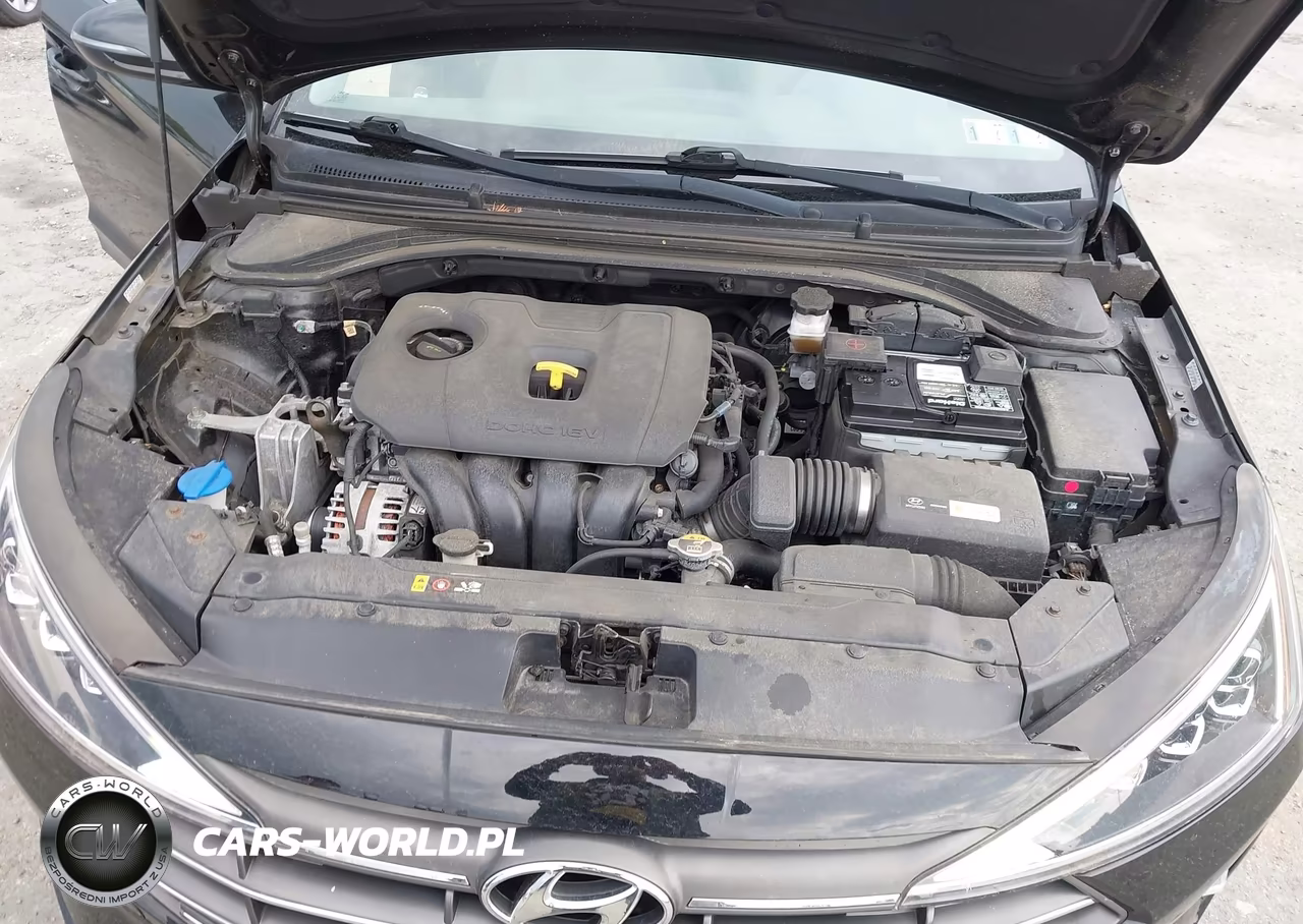 2019 Hyundai Elantra Limited VIN:KMHD84LF1KU761130 - 10