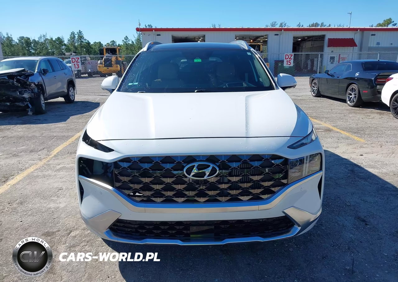2022 Hyundai Santa Fe Calligraphy VIN:5NMS54AL4NH444306 - 13