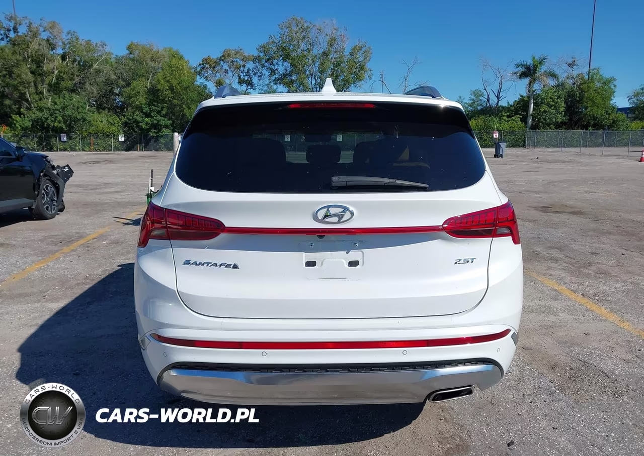 2022 Hyundai Santa Fe Calligraphy VIN:5NMS54AL4NH444306 - 17
