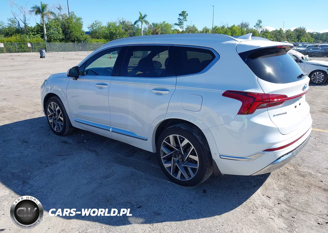 2022 Hyundai Santa Fe Calligraphy VIN:5NMS54AL4NH444306 - 3
