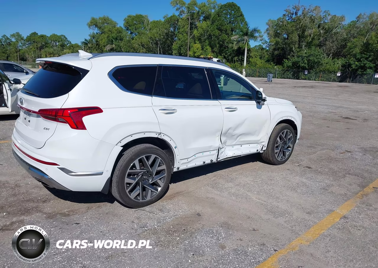 2022 Hyundai Santa Fe Calligraphy VIN:5NMS54AL4NH444306 - 4
