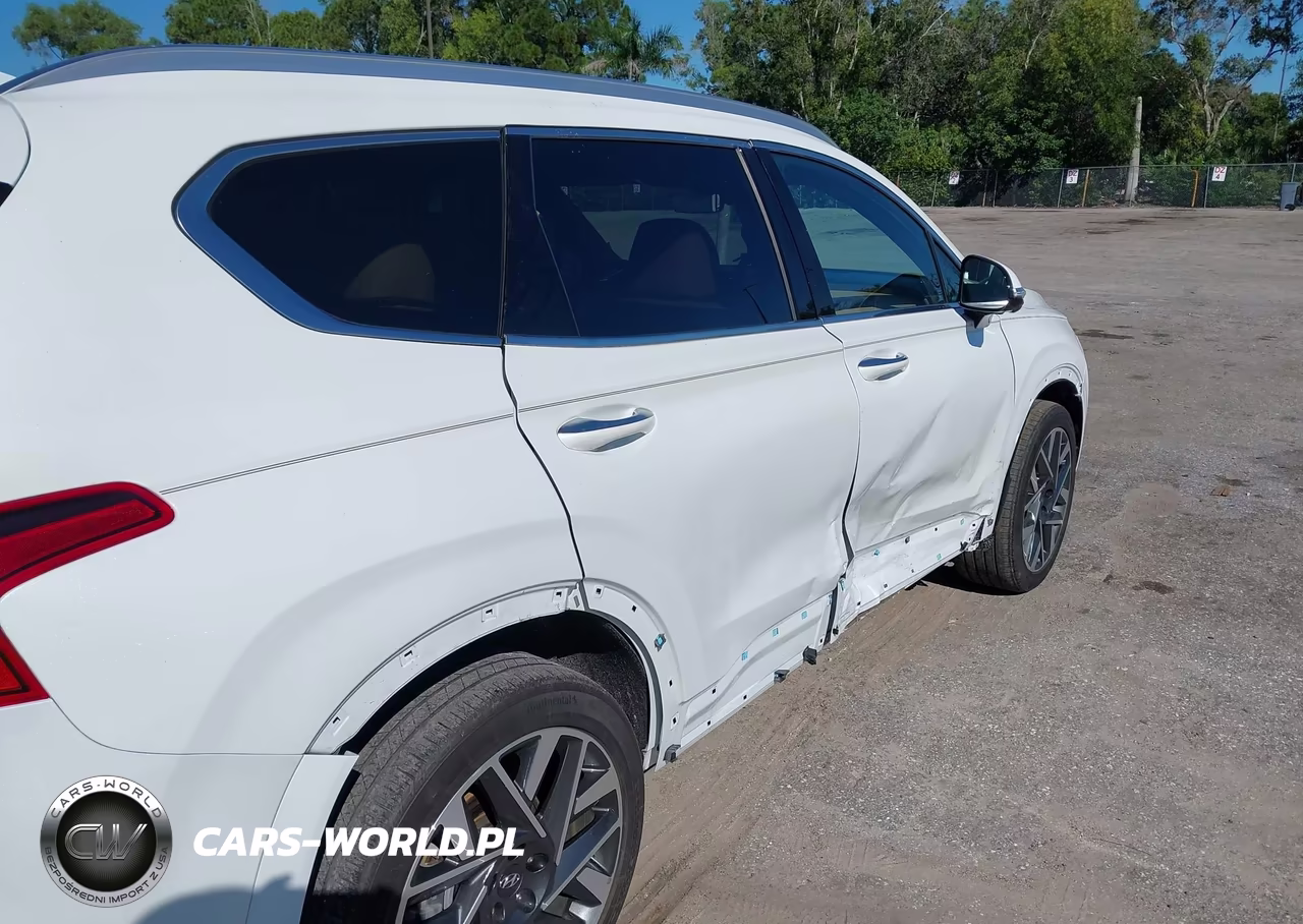 2022 Hyundai Santa Fe Calligraphy VIN:5NMS54AL4NH444306 - 6
