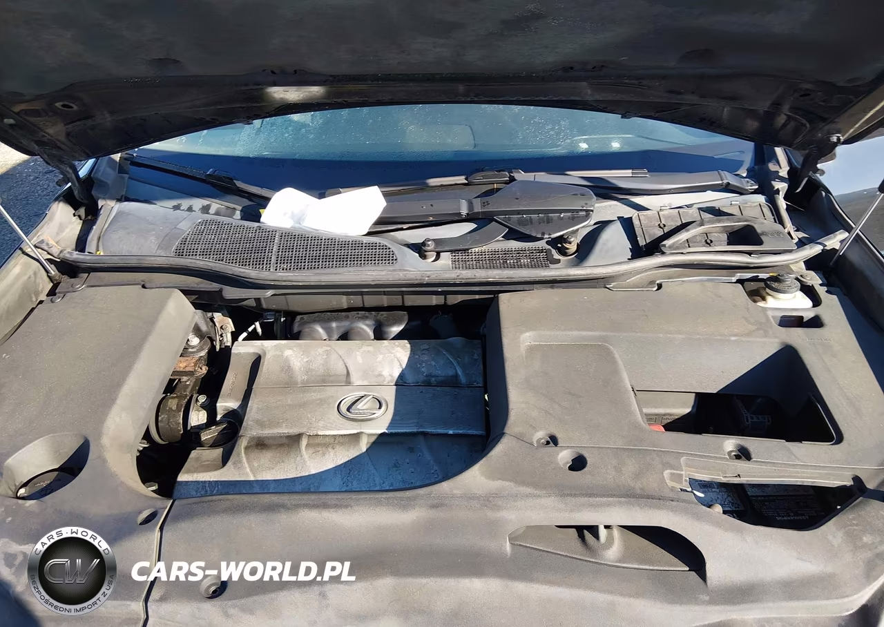 2010 Lexus Rx 350 VIN:2T2BK1BA6AC010890 - 10