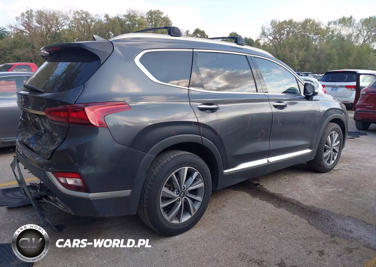2020 Hyundai Santa Fe Sel VIN:5NMS3CAD9LH228604 - 4