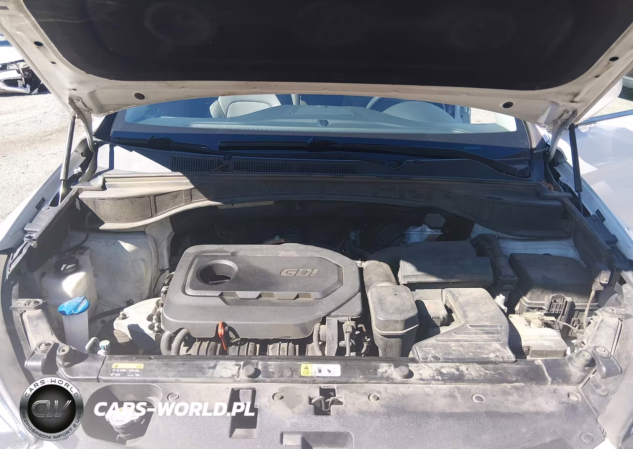 2017 Hyundai Santa Fe Sport 2.4L VIN:5NMZU3LB3HH009037 - 10
