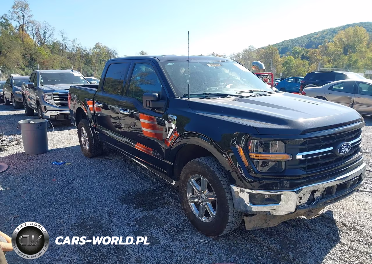 2025 Ford F-150 Xlt