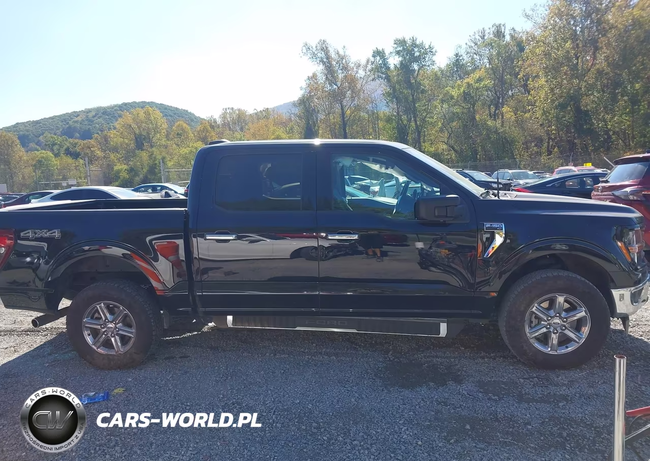 2025 Ford F-150 Xlt VIN:1FTEW3LP2SKE62212 - 13