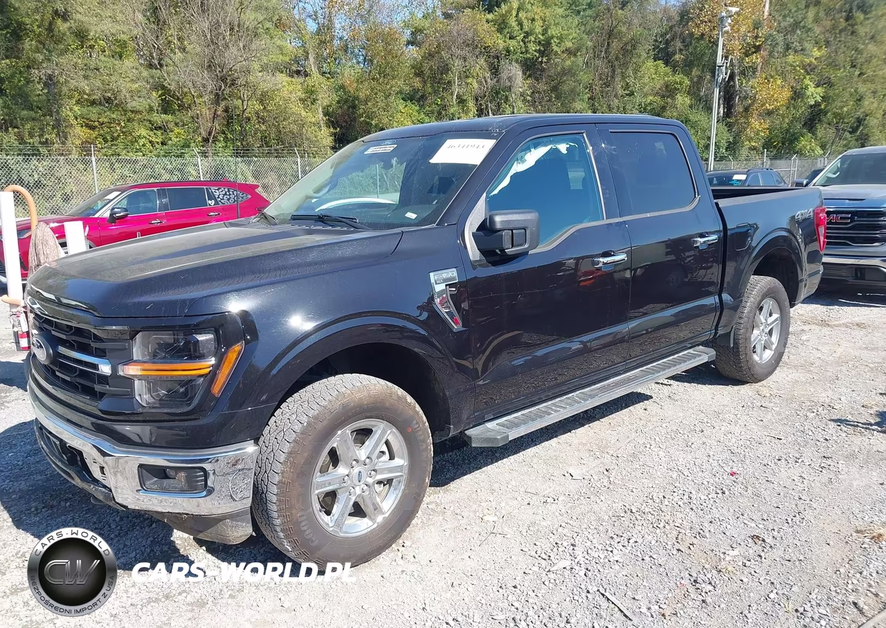 2025 Ford F-150 Xlt VIN:1FTEW3LP2SKE62212 - 2