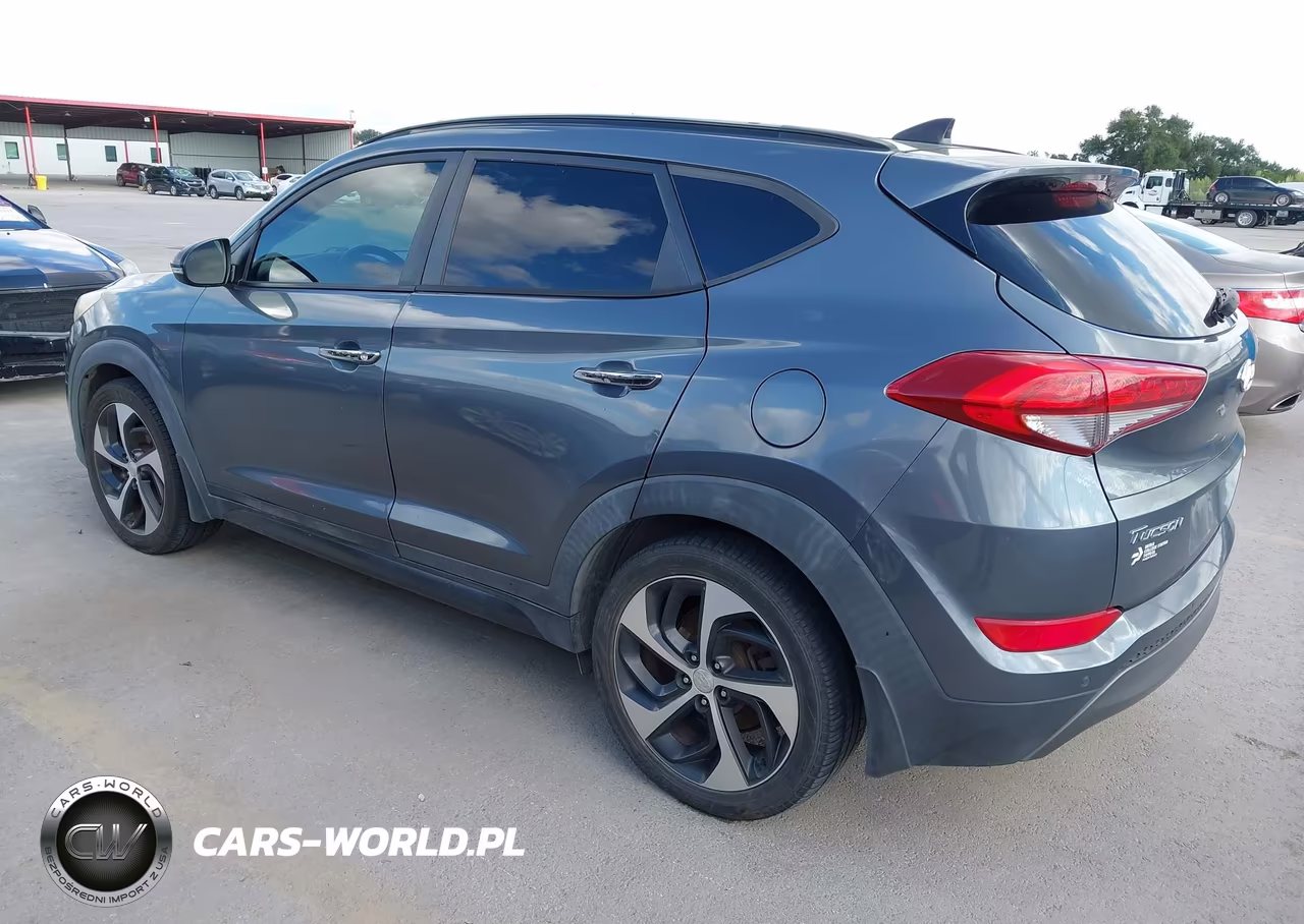 2016 Hyundai Tucson Limited VIN:KM8J33A21GU088990 - 3