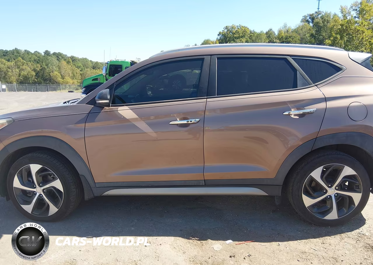 2017 Hyundai Tucson Limited VIN:KM8J3CA22HU305660 - 14
