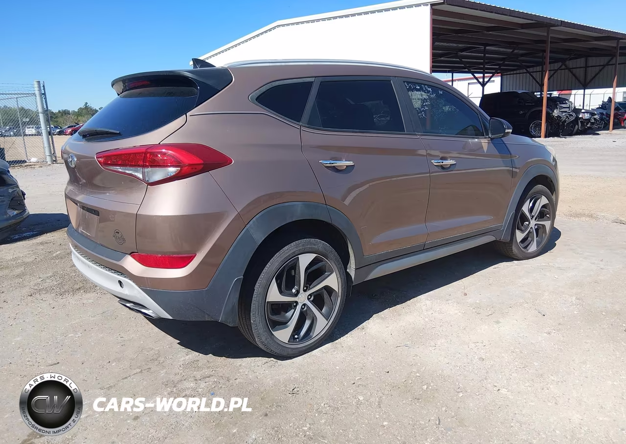 2017 Hyundai Tucson Limited VIN:KM8J3CA22HU305660 - 4