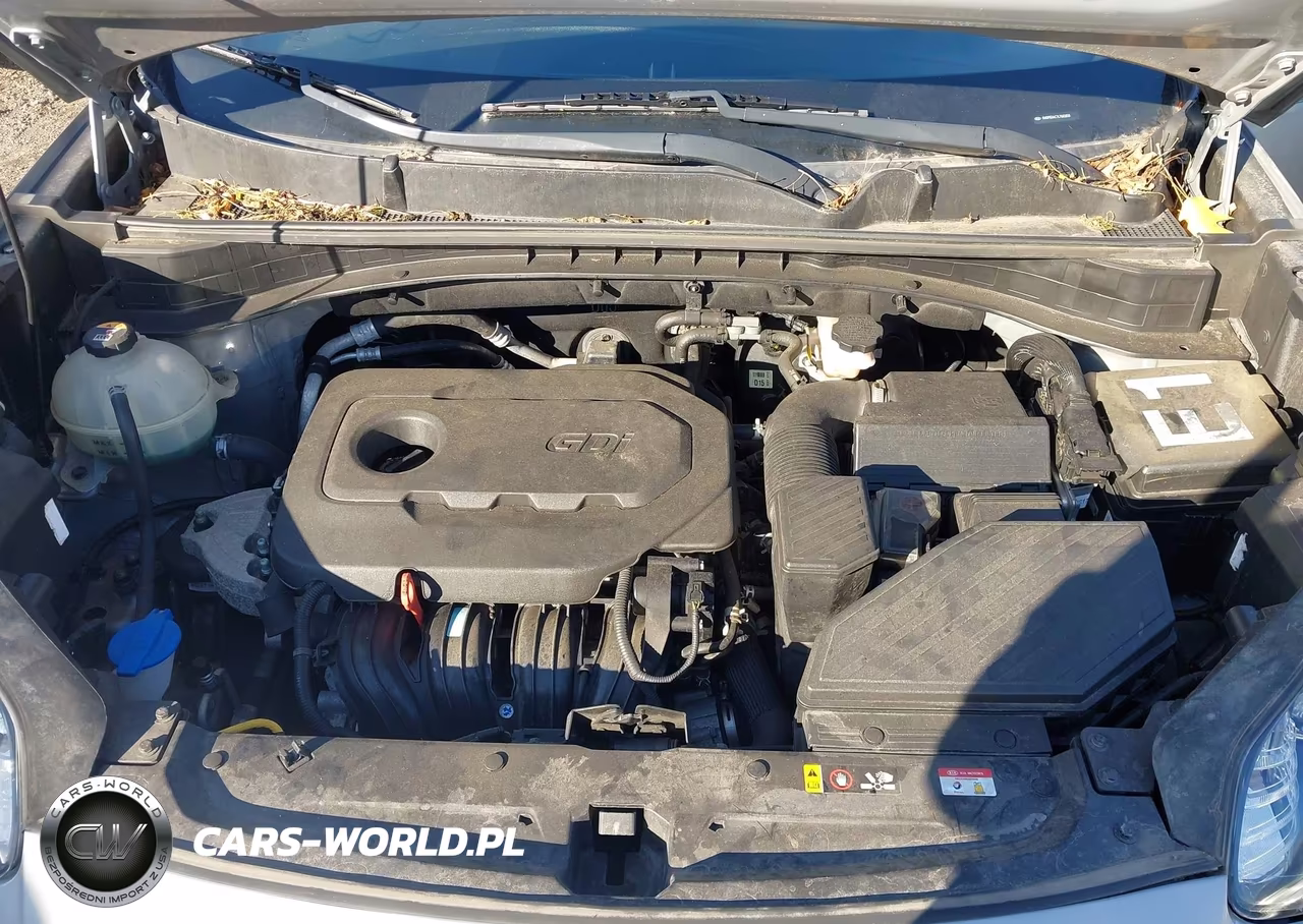 2020 Kia Sportage S VIN:KNDP63AC7L7661818 - 10