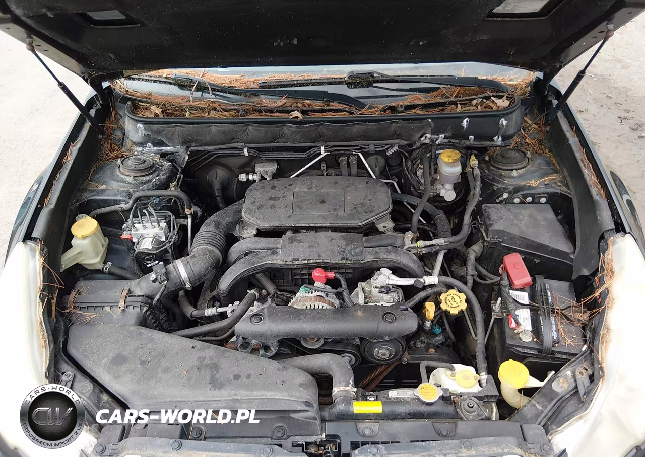 2010 Subaru Outback 2.5I Premium VIN:4S4BRBCC2A3317953 - 10