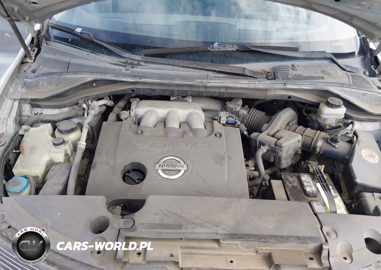 2004 Nissan Murano Sl VIN:JN8AZ08T64W203099 - 10