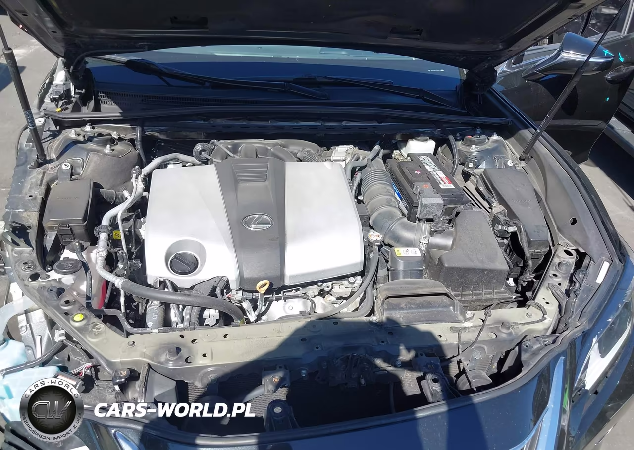 2020 Lexus Es 350 VIN:58ADZ1B17LU060782 - 10