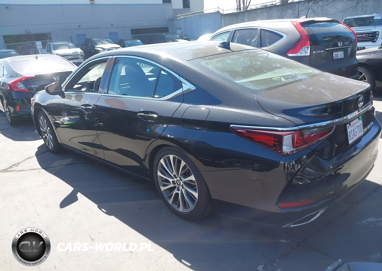 2020 Lexus Es 350 VIN:58ADZ1B17LU060782 - 3