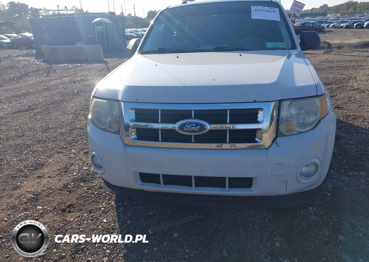 2009 Ford Escape Xlt VIN:1FMCU93GX9KA81858 - 12
