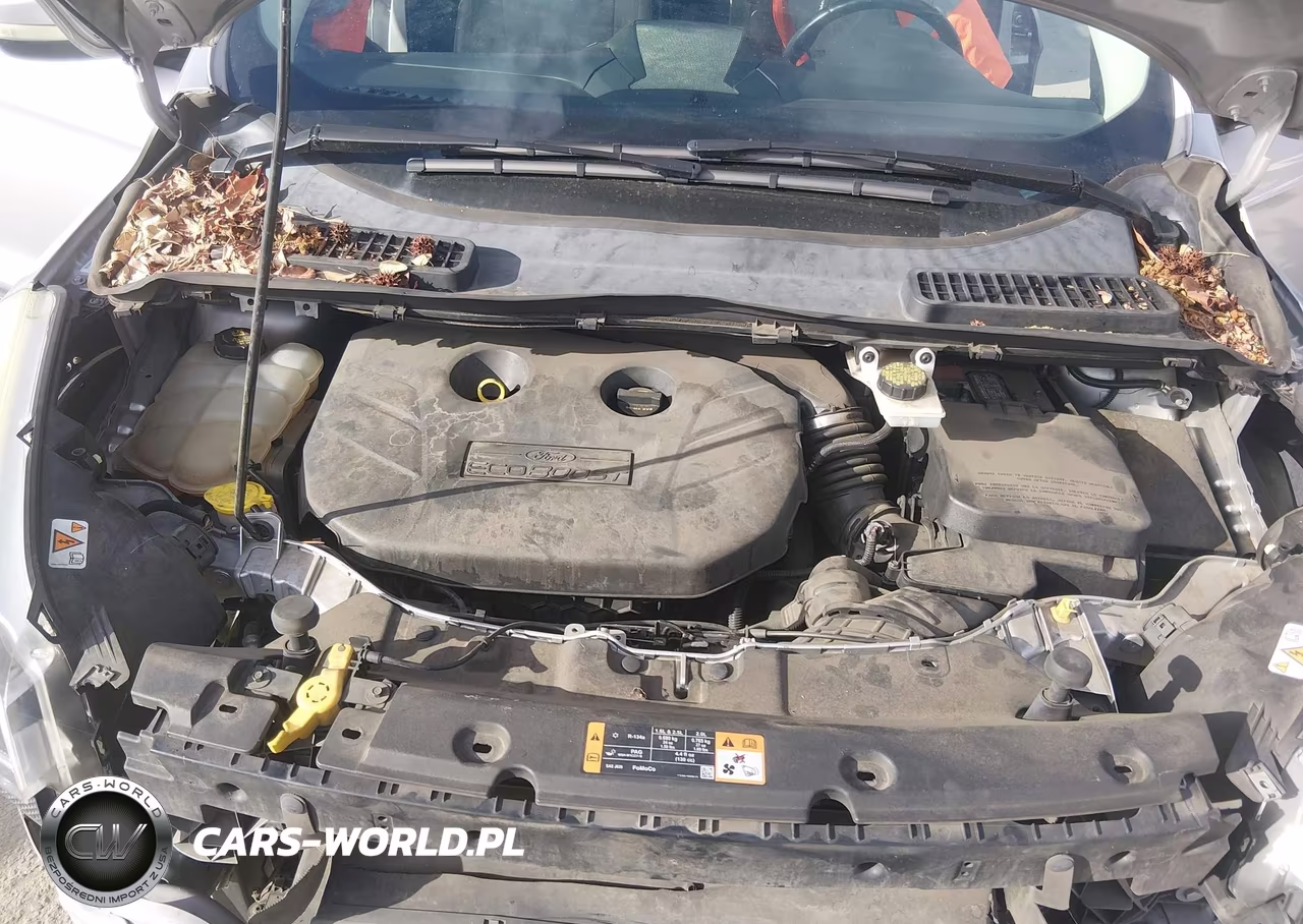 2014 Ford Escape Titanium VIN:1FMCU9J90EUB62838 - 10