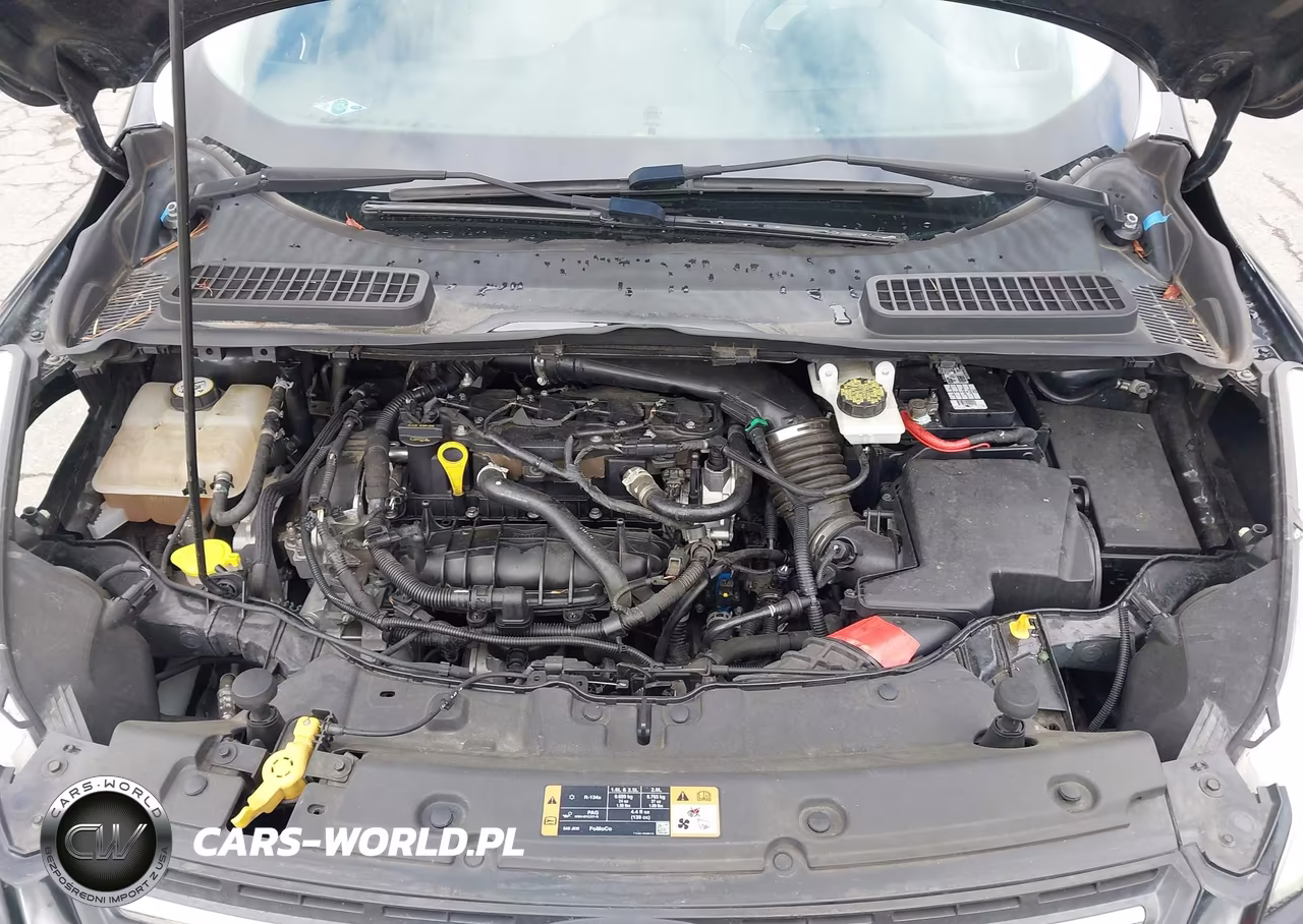 2014 Ford Escape Se VIN:1FMCU0GX2EUC07554 - 10