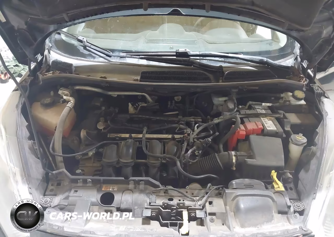 2016 Ford Fiesta Se VIN:3FADP4BJ6GM136768 - 10