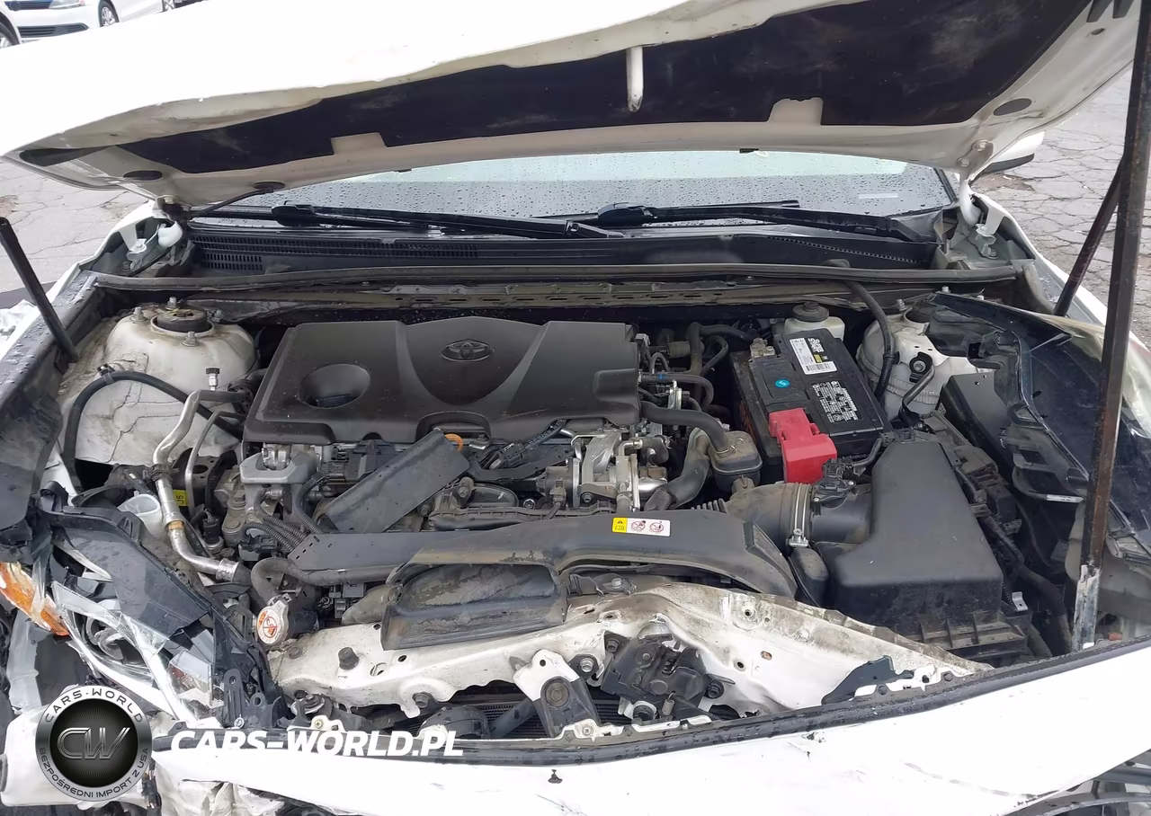 2019 Toyota Camry Se VIN:4T1B11HK2KU219762 - 10