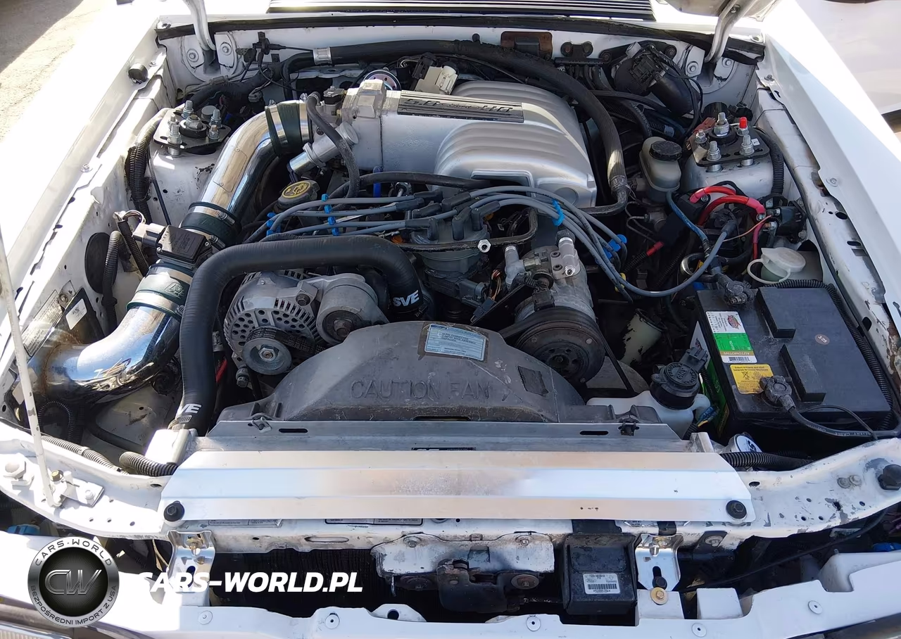 1991 Ford Mustang Lx VIN:1FACP41E6MF112255 - 10