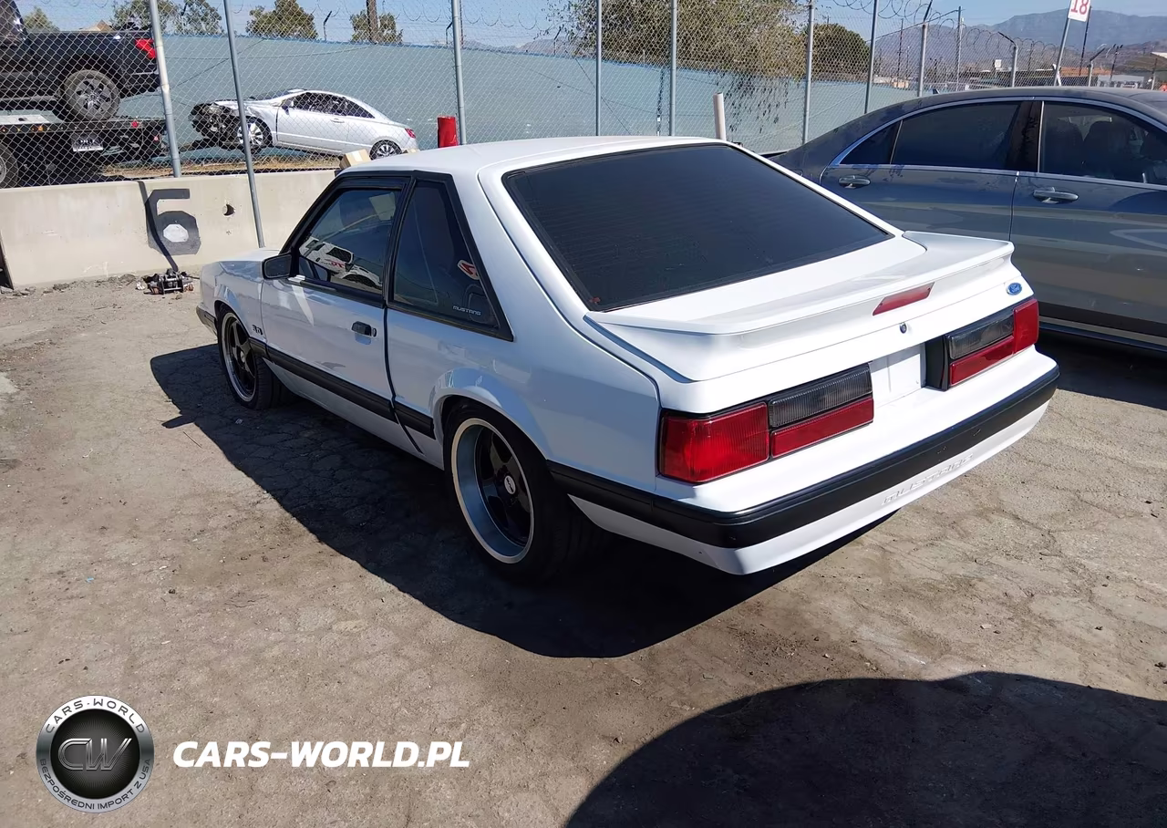 1991 Ford Mustang Lx VIN:1FACP41E6MF112255 - 3