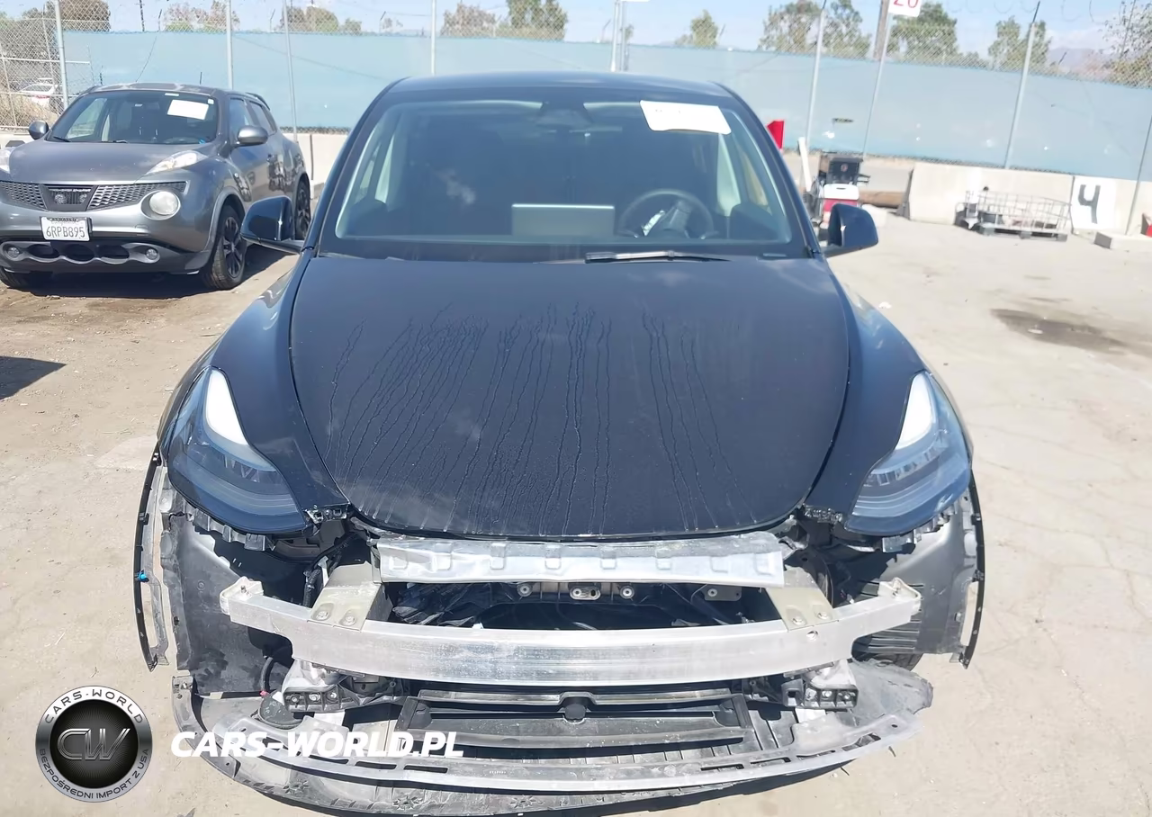 2023 Tesla Model Y VIN:7SAYGDEE1PF814327 - 12