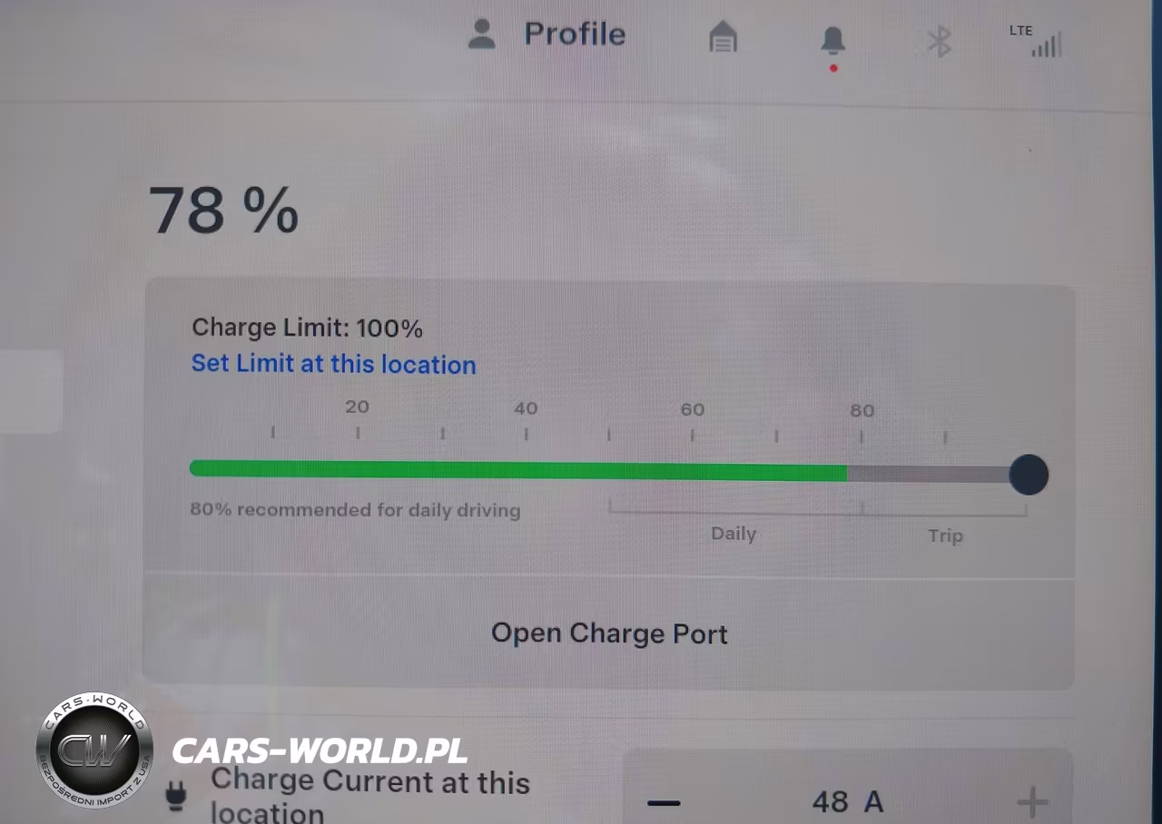 2023 Tesla Model Y VIN:7SAYGDEE1PF814327 - 17