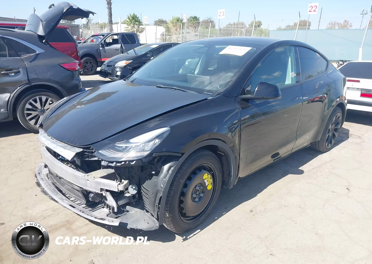 2023 Tesla Model Y VIN:7SAYGDEE1PF814327 - 2