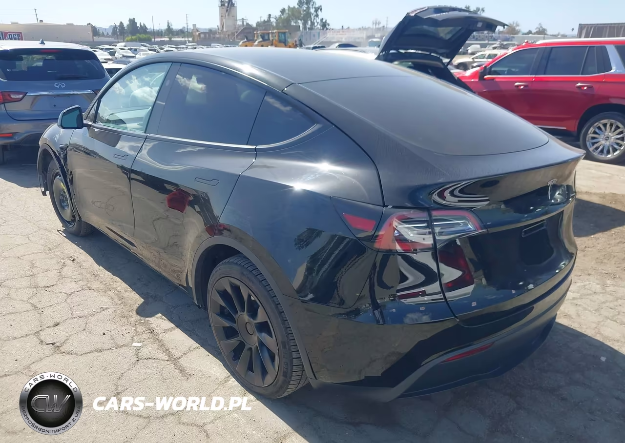 2023 Tesla Model Y VIN:7SAYGDEE1PF814327 - 3