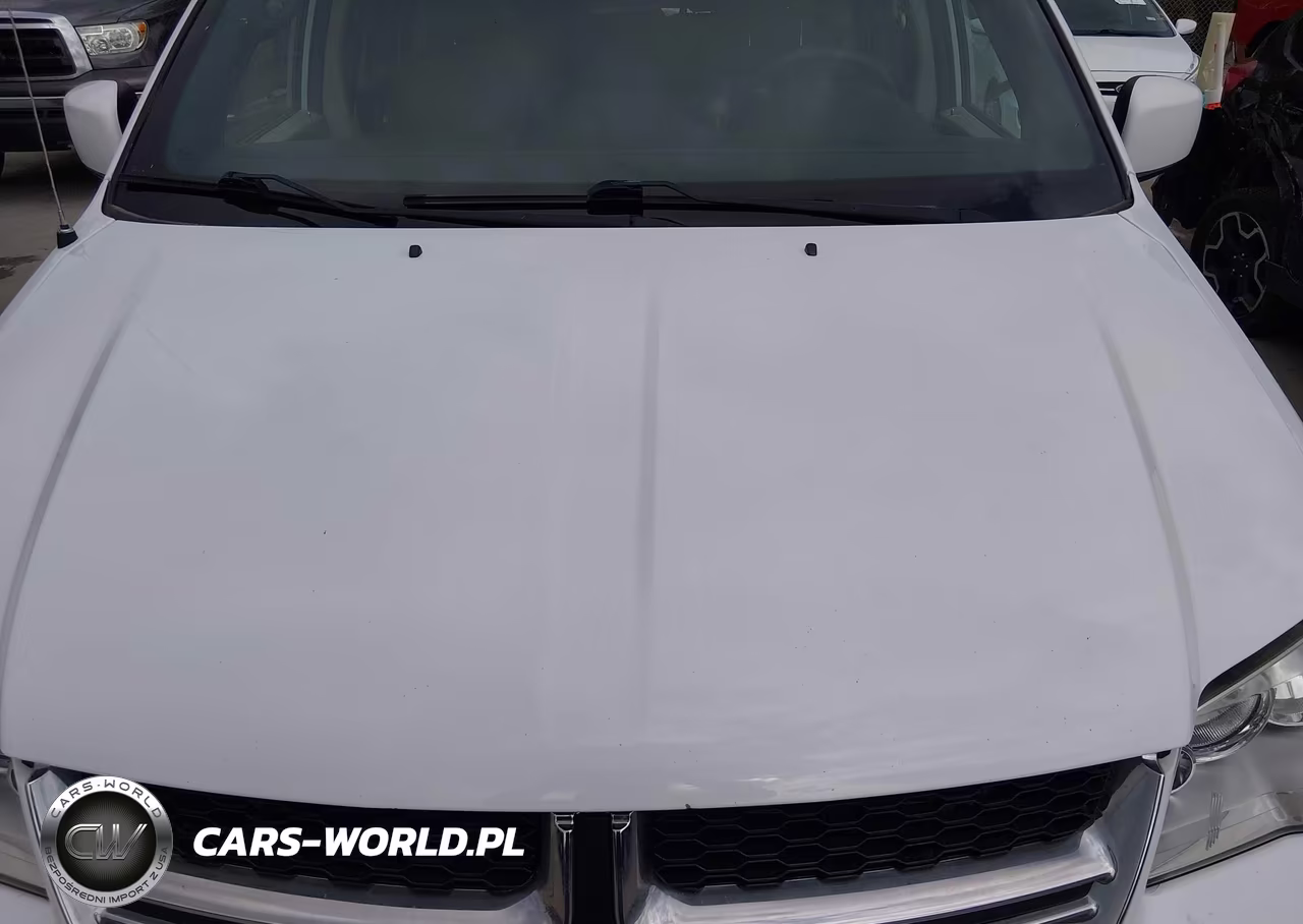 2019 Dodge Grand Caravan Sxt VIN:2C4RDGCG0KR621468 - 10