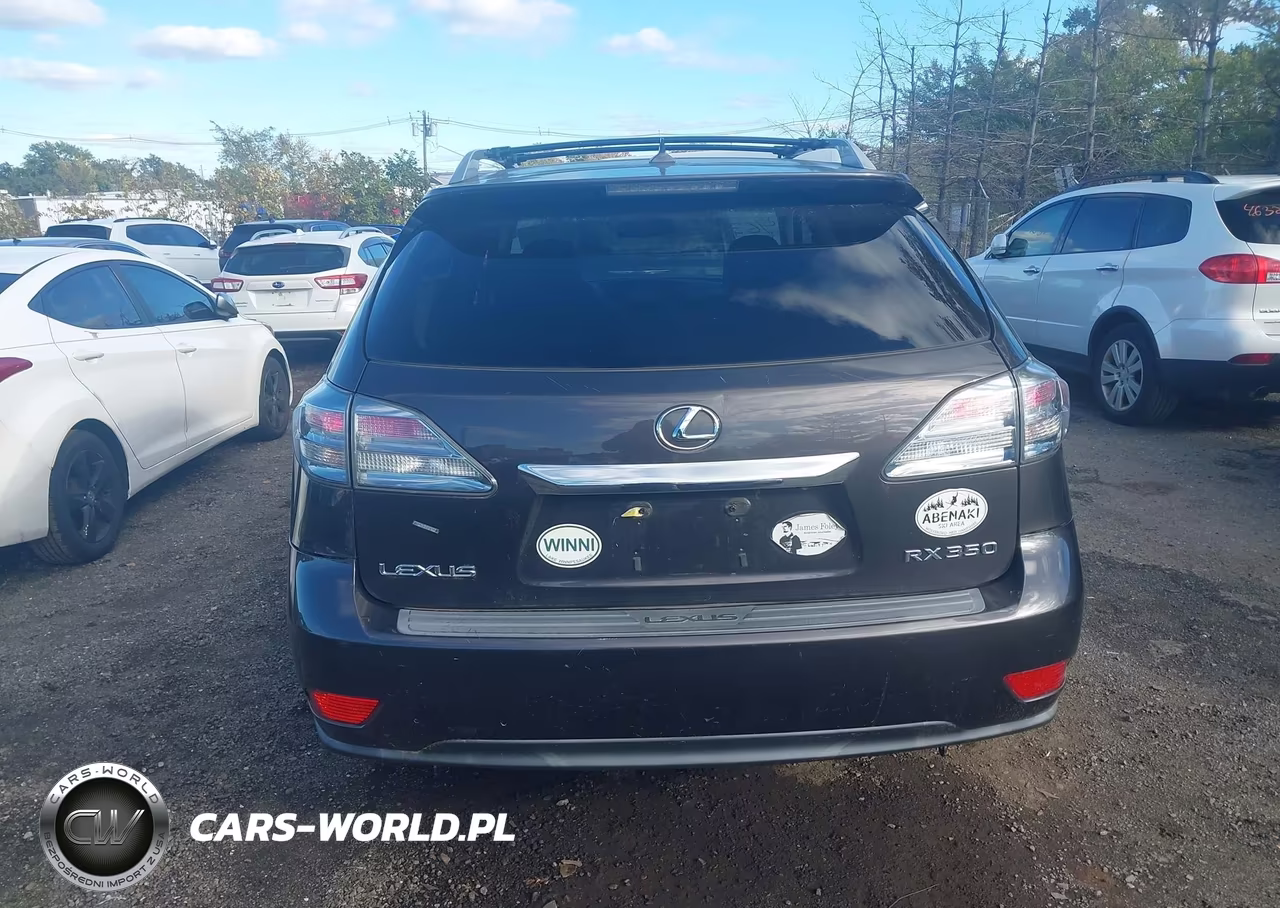 2010 Lexus Rx 350 VIN:2T2BK1BAXAC016188 - 16