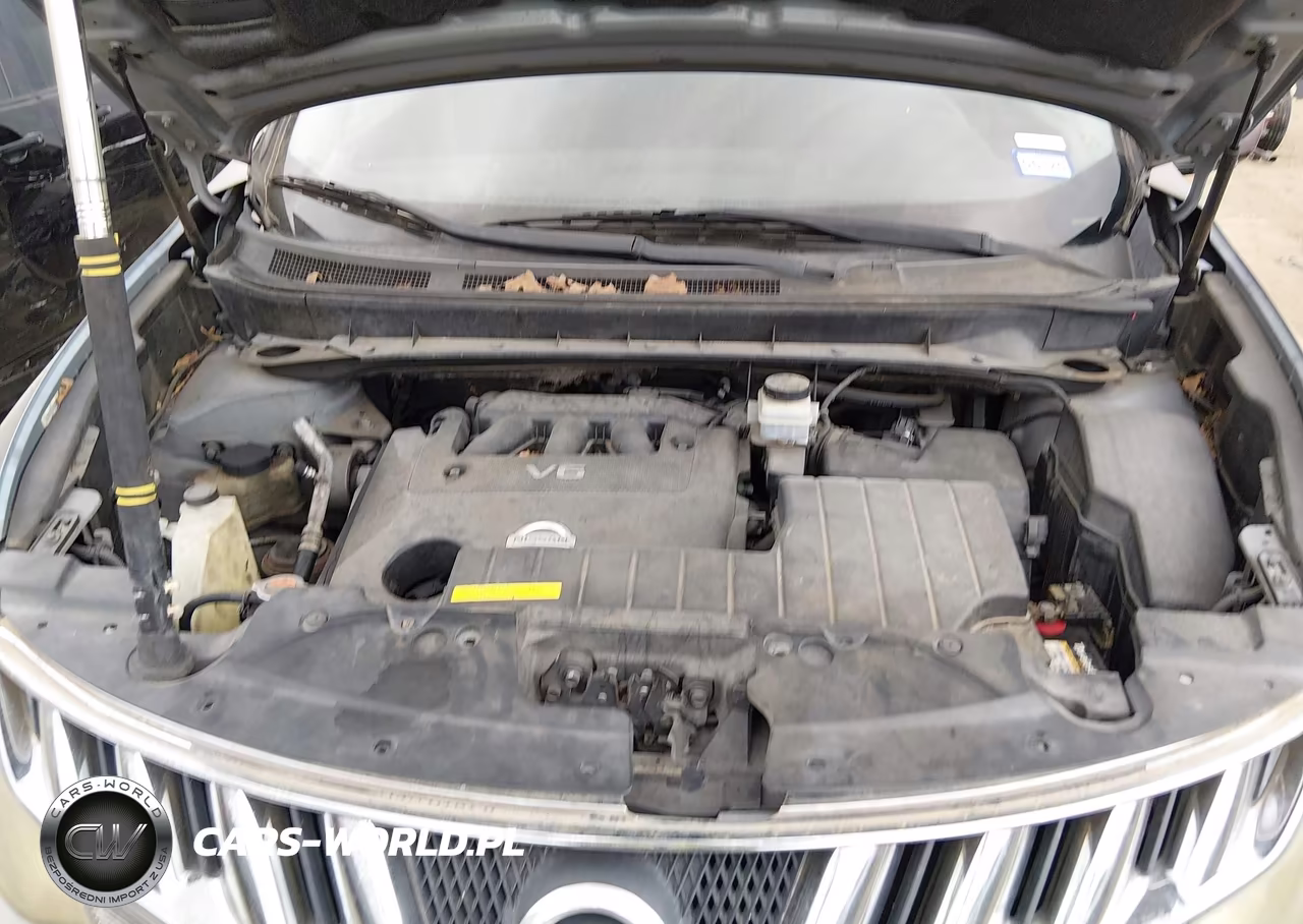 2009 Nissan Murano S VIN:JN8AZ18U19W103062 - 10