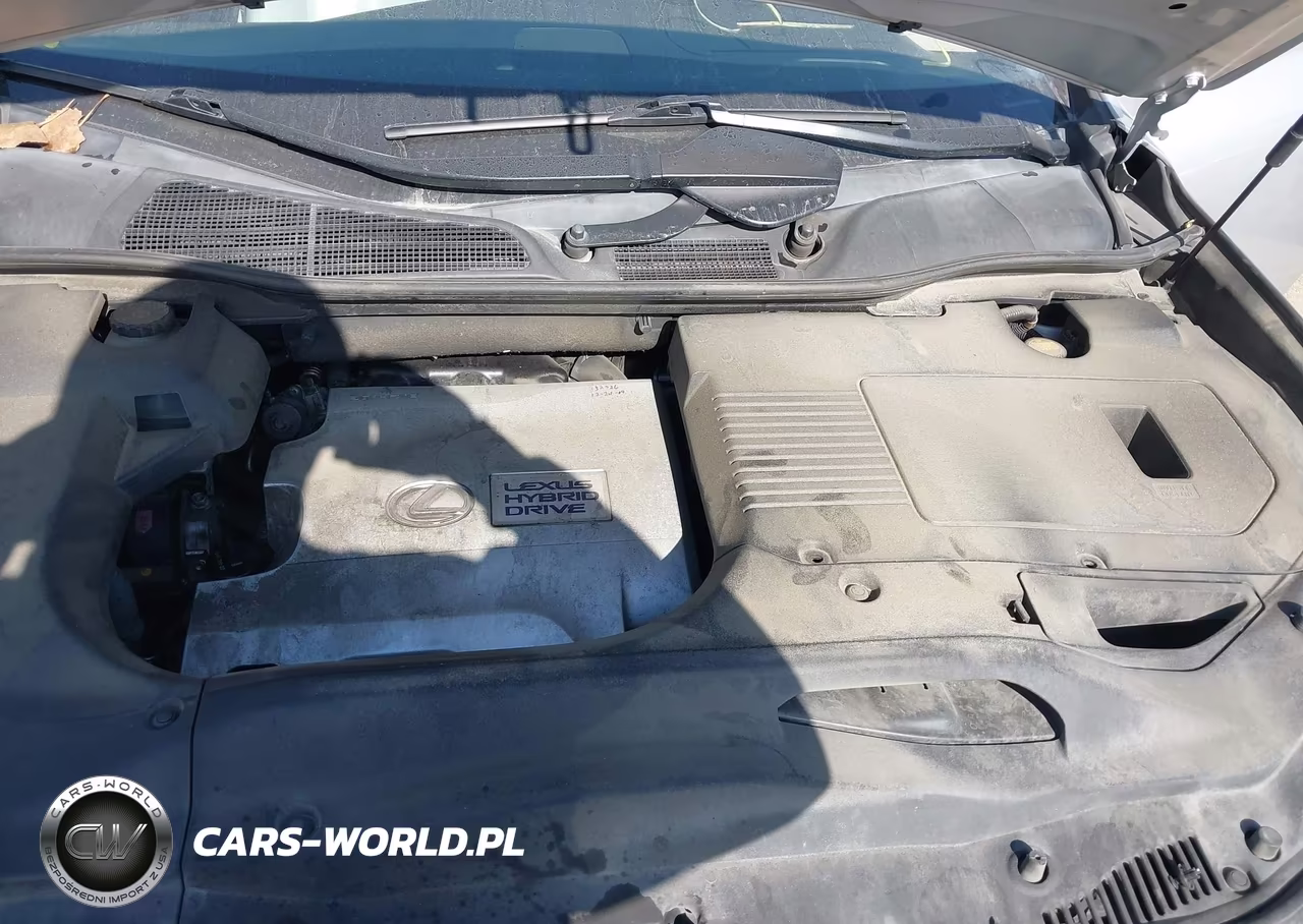 2010 Lexus Rx 450H VIN:JTJBC1BA7A2023726 - 10