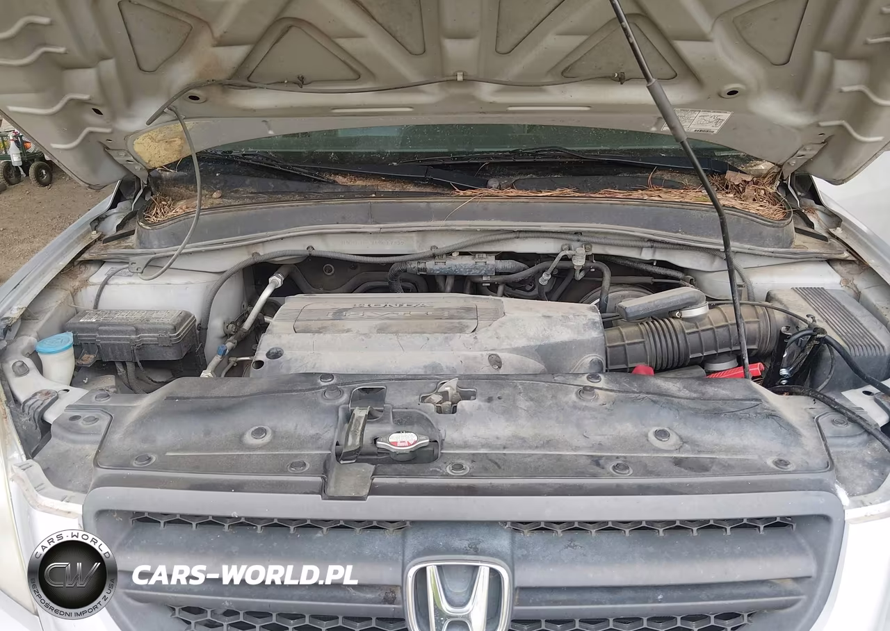 2004 Honda Pilot Ex-L VIN:2HKYF18574H617332 - 10