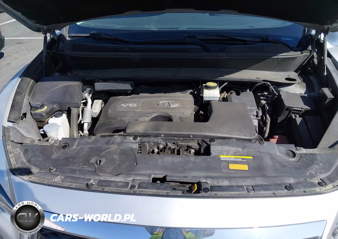 2019 Infiniti Qx60 Pure VIN:5N1DL0MN0KC548365 - 10