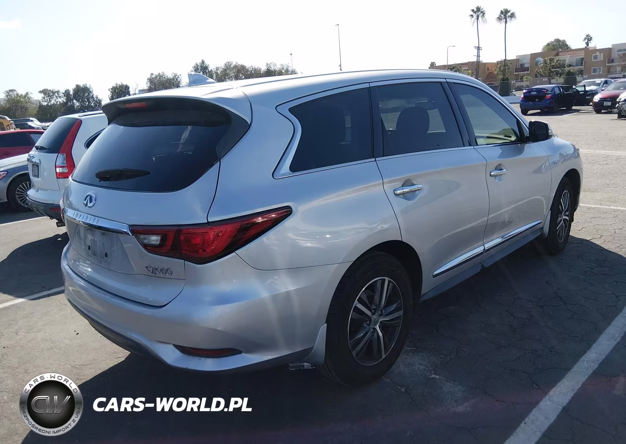 2019 Infiniti Qx60 Pure VIN:5N1DL0MN0KC548365 - 4