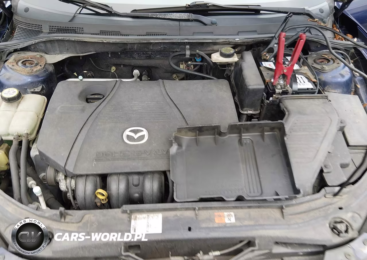 2004 Mazda Mazda3 I VIN:JM1BK12F341179712 - 10