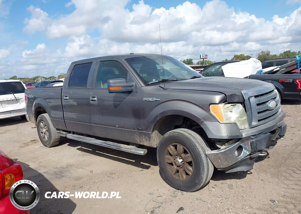 2009 Ford F-150 Xl-Xlt VIN:1FTRW14839KB36166 - 12