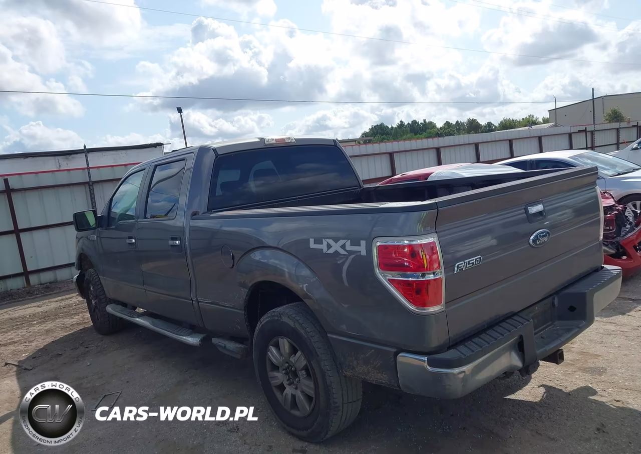 2009 Ford F-150 Xl-Xlt VIN:1FTRW14839KB36166 - 13