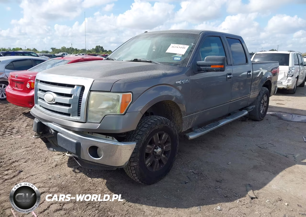 2009 Ford F-150 Xl-Xlt VIN:1FTRW14839KB36166 - 2