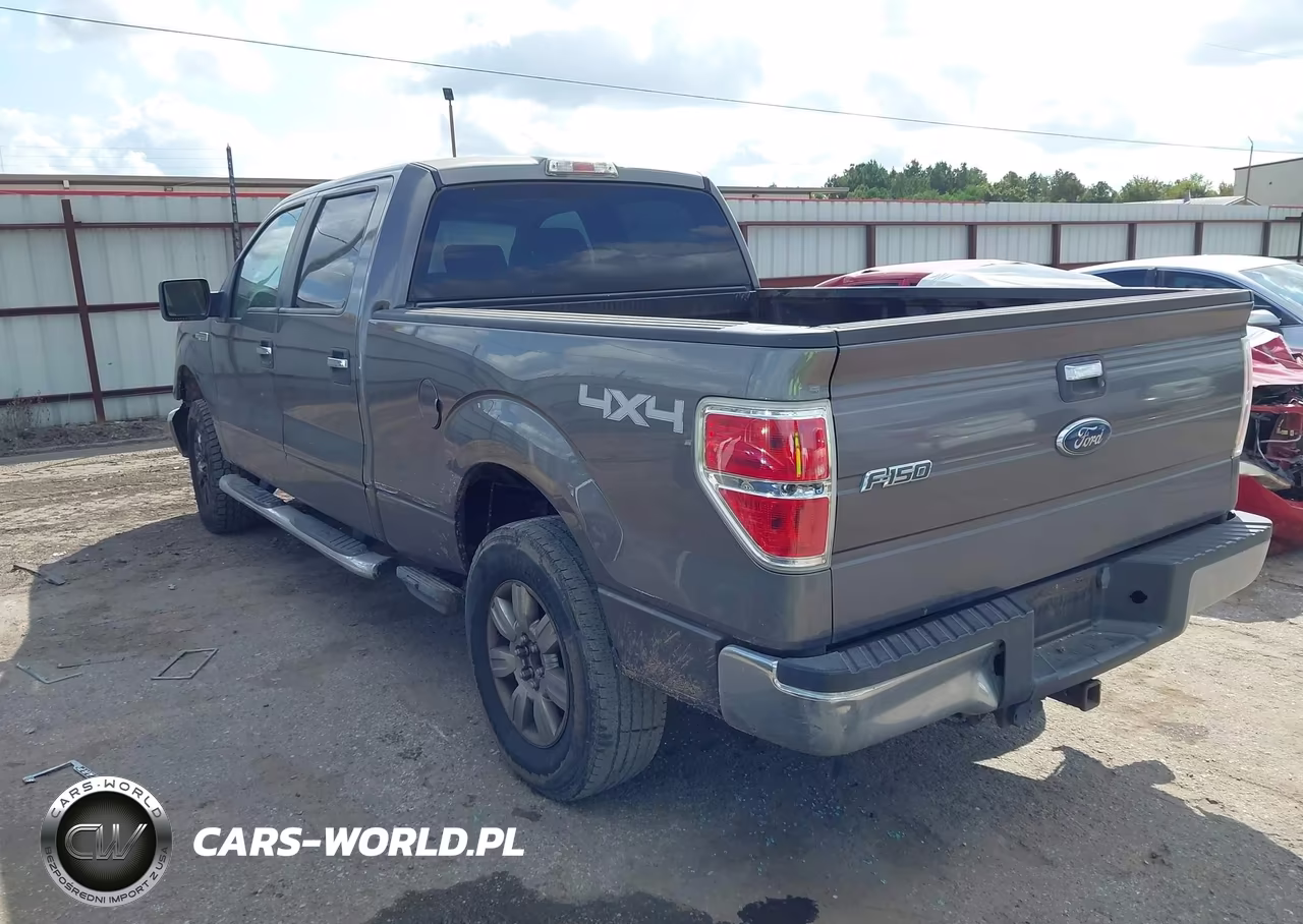 2009 Ford F-150 Xl-Xlt VIN:1FTRW14839KB36166 - 3