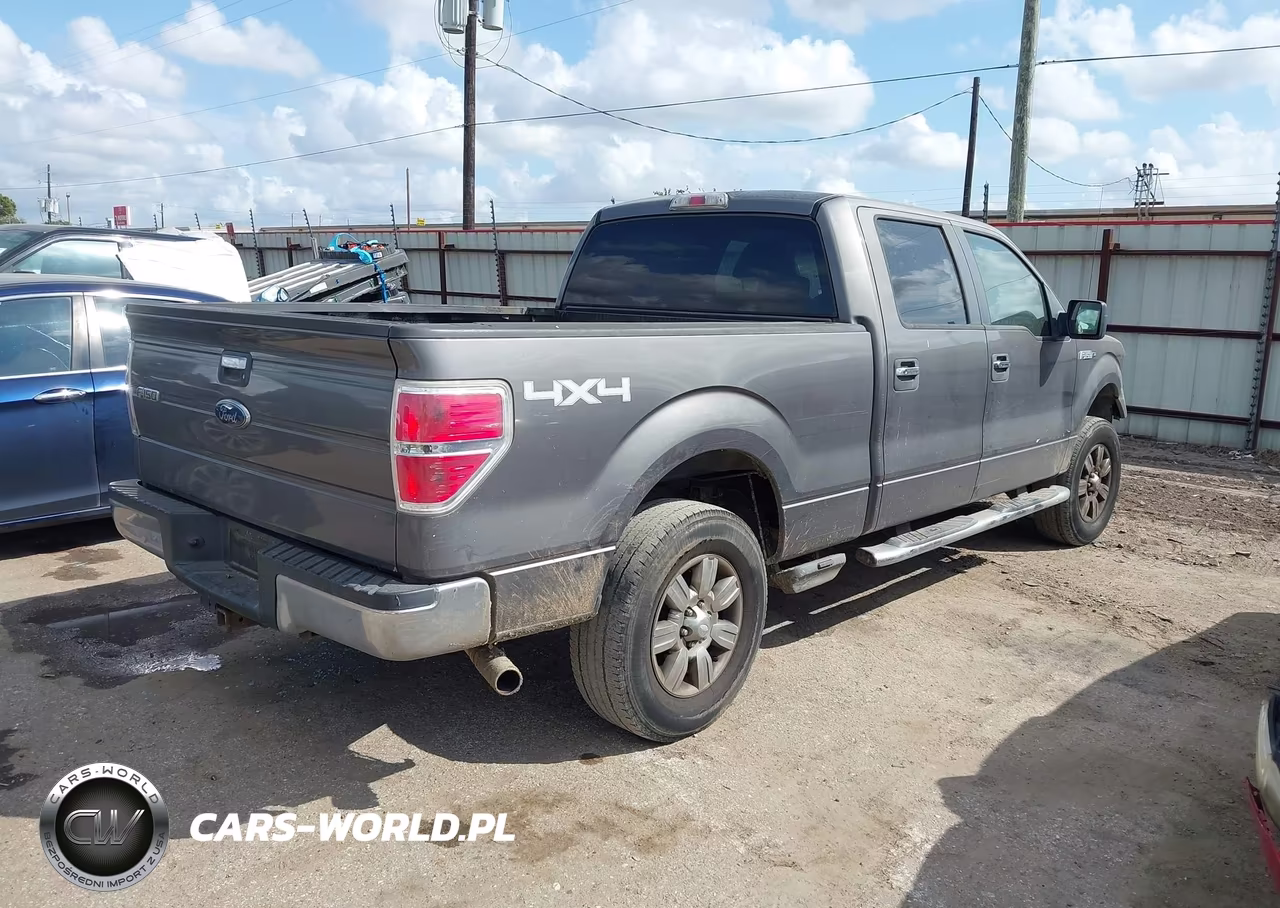2009 Ford F-150 Xl-Xlt VIN:1FTRW14839KB36166 - 4