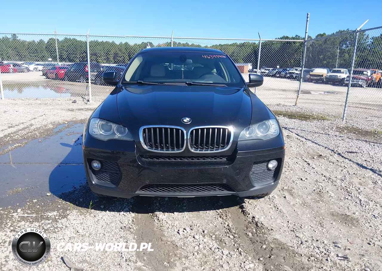 2013 BMW X6 xDrive35I VIN:5UXFG2C54DL783528 - 12