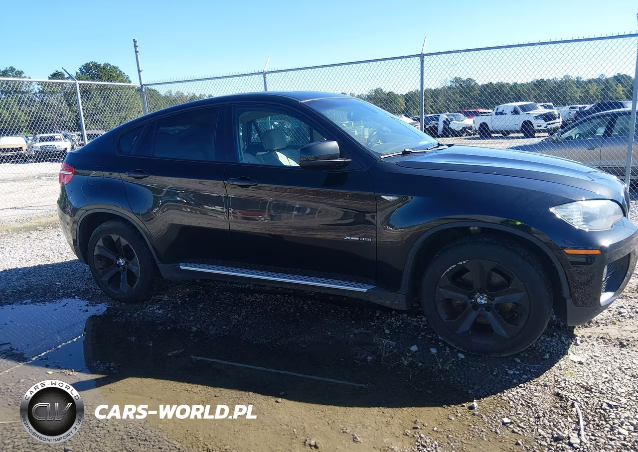 2013 BMW X6 xDrive35I VIN:5UXFG2C54DL783528 - 13