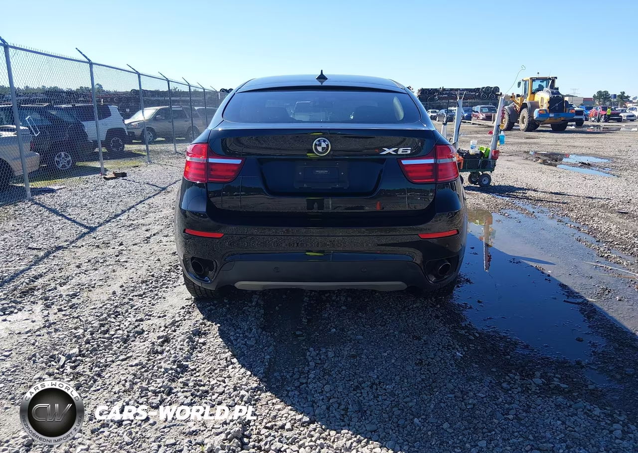 2013 BMW X6 xDrive35I VIN:5UXFG2C54DL783528 - 16