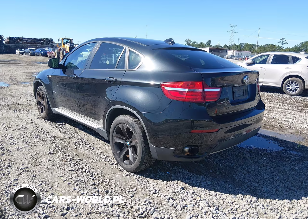 2013 BMW X6 xDrive35I VIN:5UXFG2C54DL783528 - 3