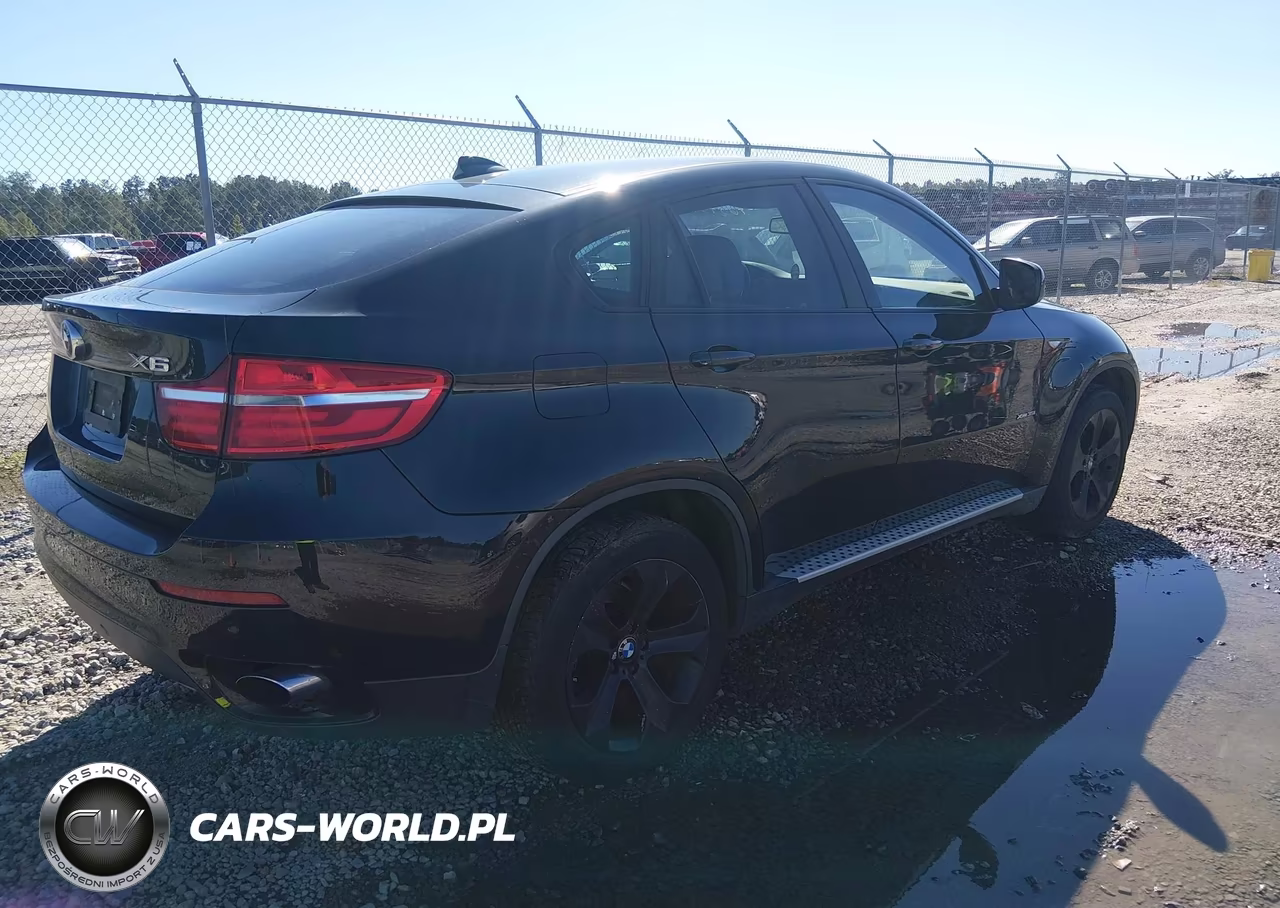 2013 BMW X6 xDrive35I VIN:5UXFG2C54DL783528 - 4